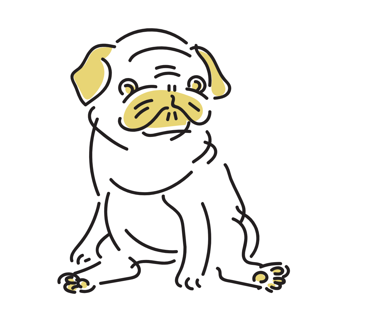 ペット　エサ代　費用　経費　看板犬　看板猫